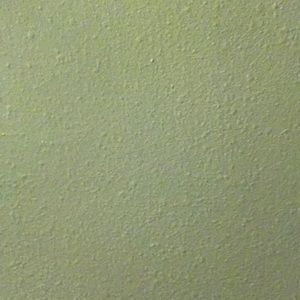 Meet your Posher, Cameron